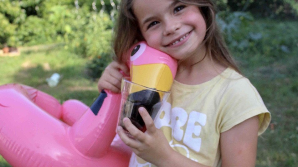 Tisane fruits rouges 