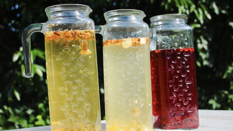 Les tisanes glacées