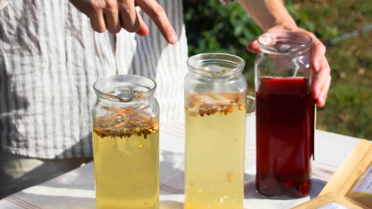 Les tisanes glacées 