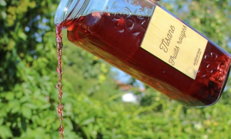 Tisane fruits rouges