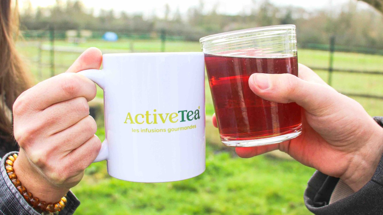 Tisane fruits rouges