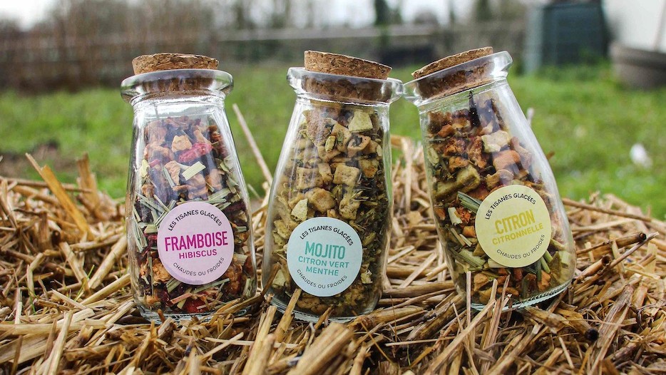 Tisanes glacées