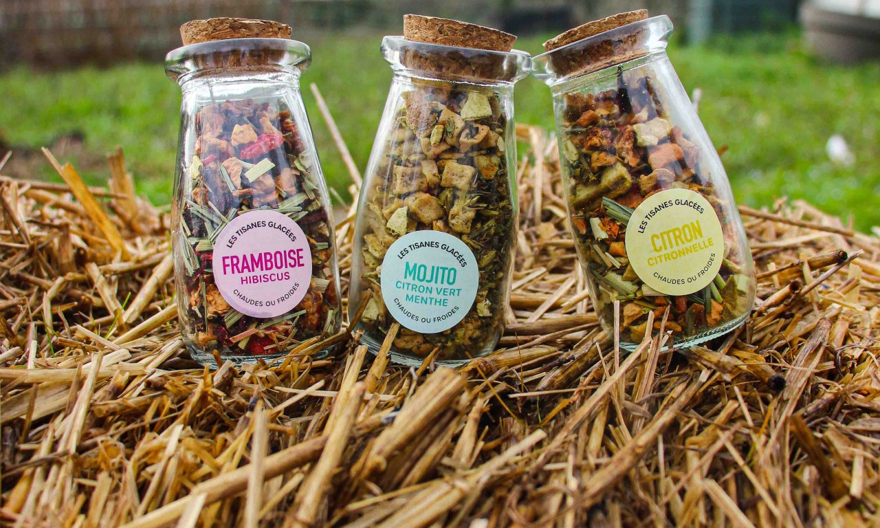 Tisanes glacées
