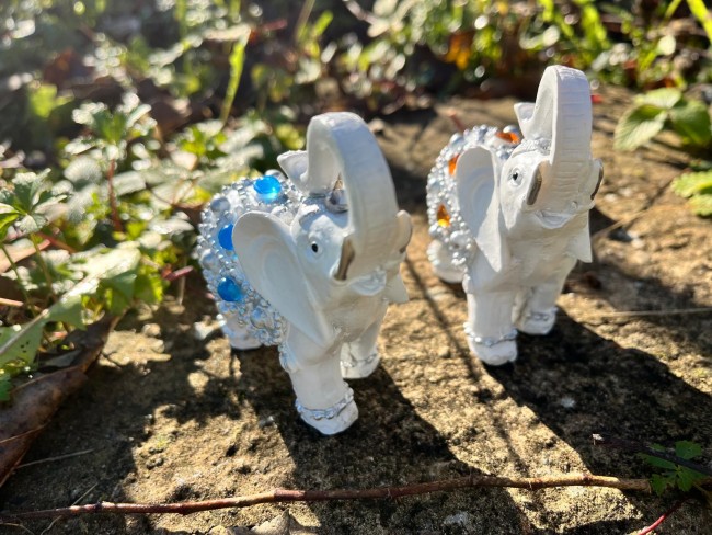 WhatsApp Image 2025-12-15 at 21.36.24 (3)