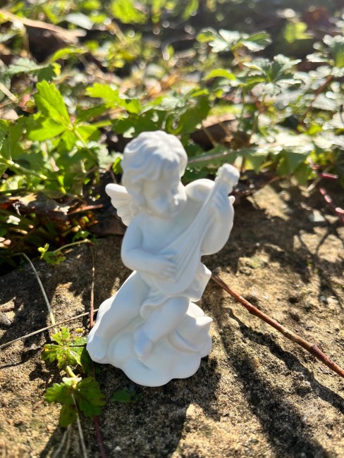 WhatsApp Image 2025-12-15 at 21.36.24 (8)