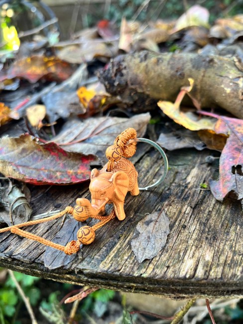 WhatsApp Image 2025-12-15 at 21.34.36 (3)