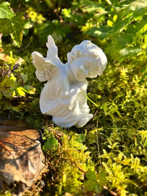 WhatsApp Image 2025-12-15 at 21.36.24 (13)