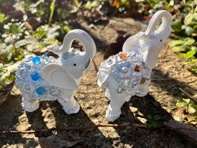 WhatsApp Image 2025-12-15 at 21.36.24 (4)