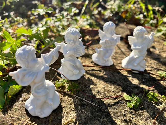 WhatsApp Image 2025-12-15 at 21.36.24 (6)