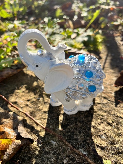 WhatsApp Image 2025-12-15 at 21.36.24 (2)