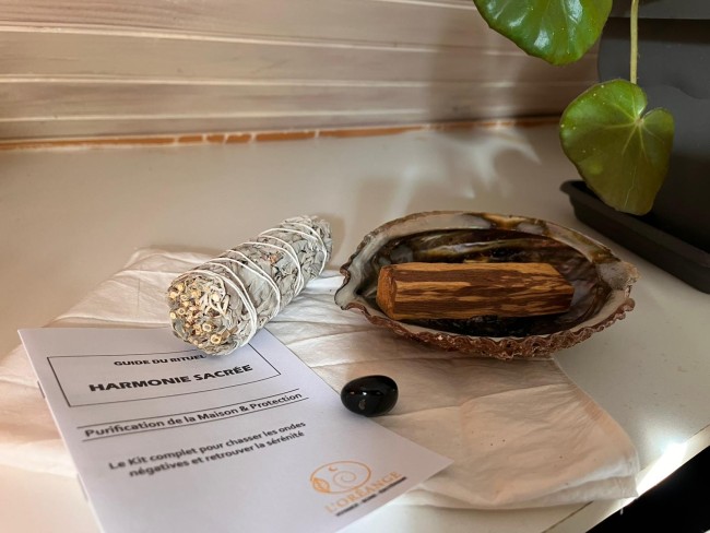 WhatsApp Image 2025-12-08 à 11.16.43_00067b9f