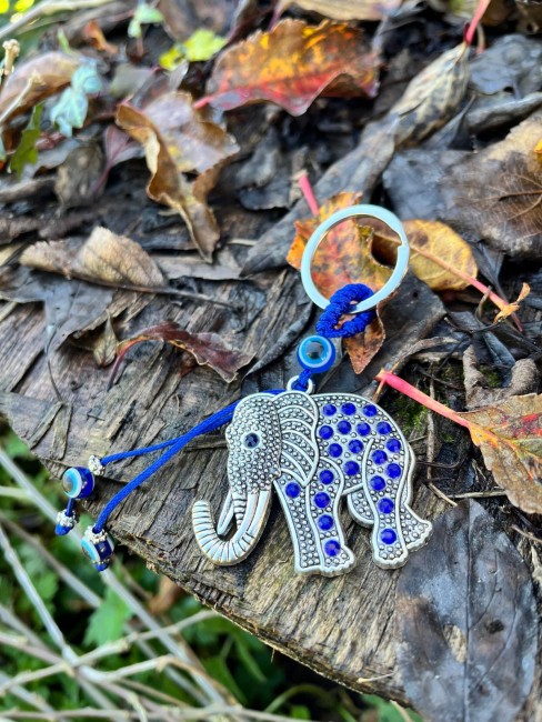 WhatsApp Image 2025-12-15 at 21.34.35 (3)