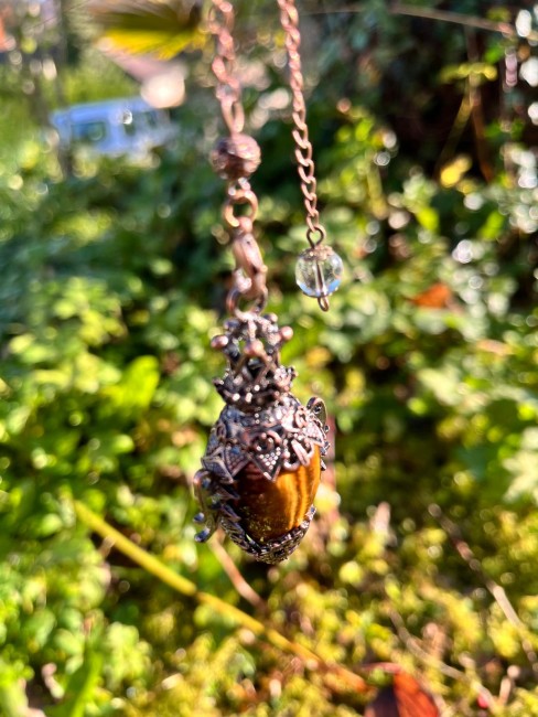 WhatsApp Image 2025-12-15 at 21.35.30