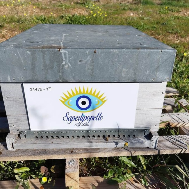 La ruche de saperlipopettebylena dans les alpes de Haute Provence