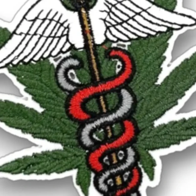 Détail brodé du caducée avec serpents rouge et gris