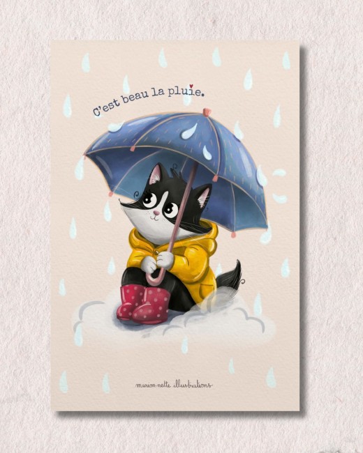 LA  PLUIE