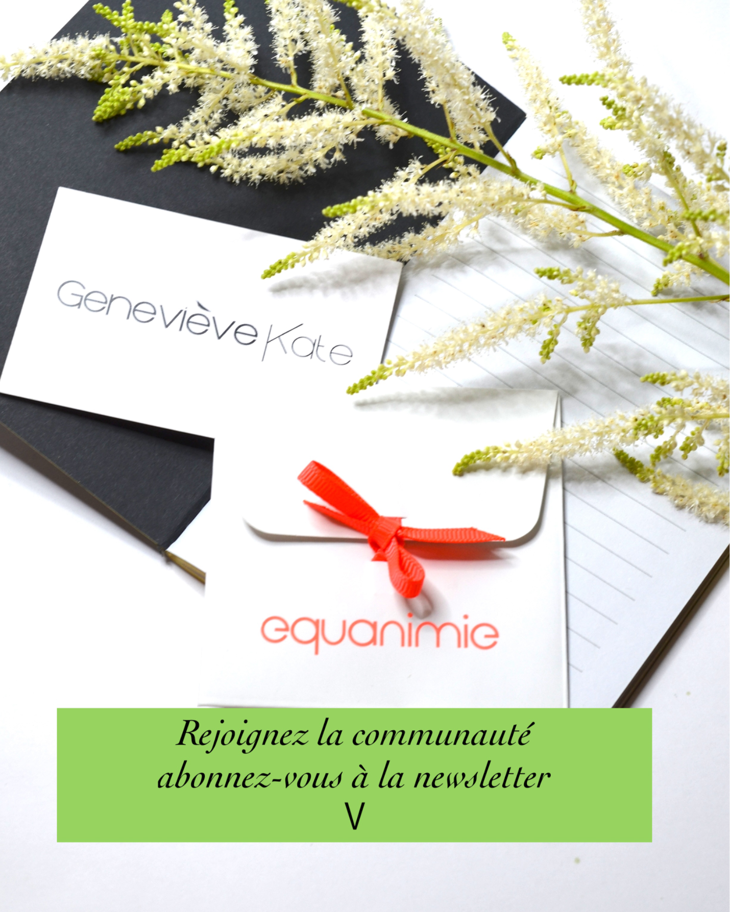  Geneviève Kate Bijoux - Annonce communauté et newsletter 