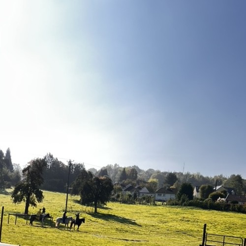 Bijoux Geneviève Kate et Équanimie - Fête du cheval de Blangy-le-Château - Octobre 2025 - Vue du champ de démonstration