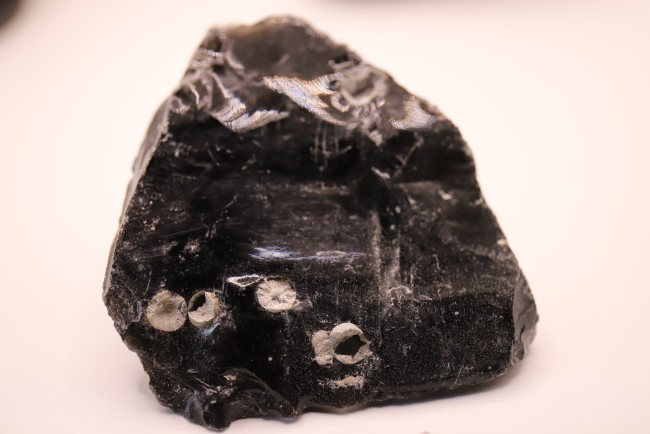 Obsidienne neige ( mouchetée)