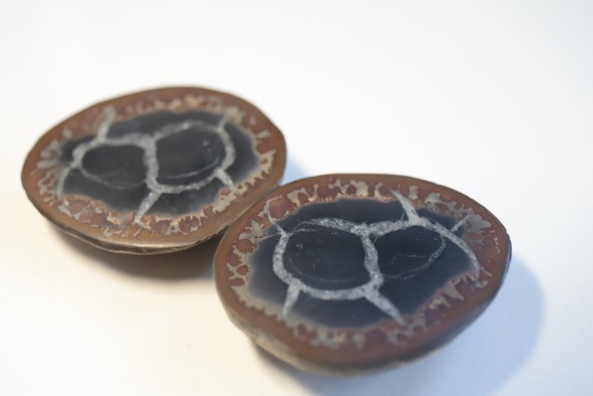Nodule de Septaria