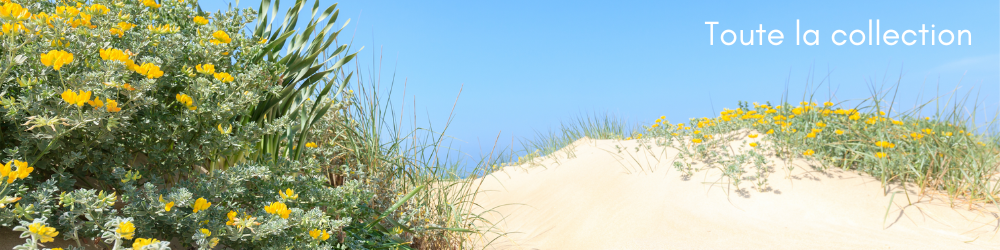 DUNES
