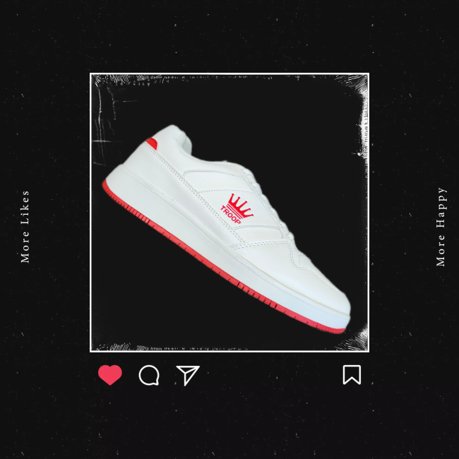Troop Destroyer lo red