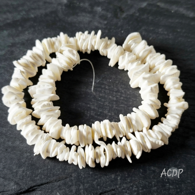 Perles chips carré en Coquillage Fragum Naturel, 7 x 3 mm