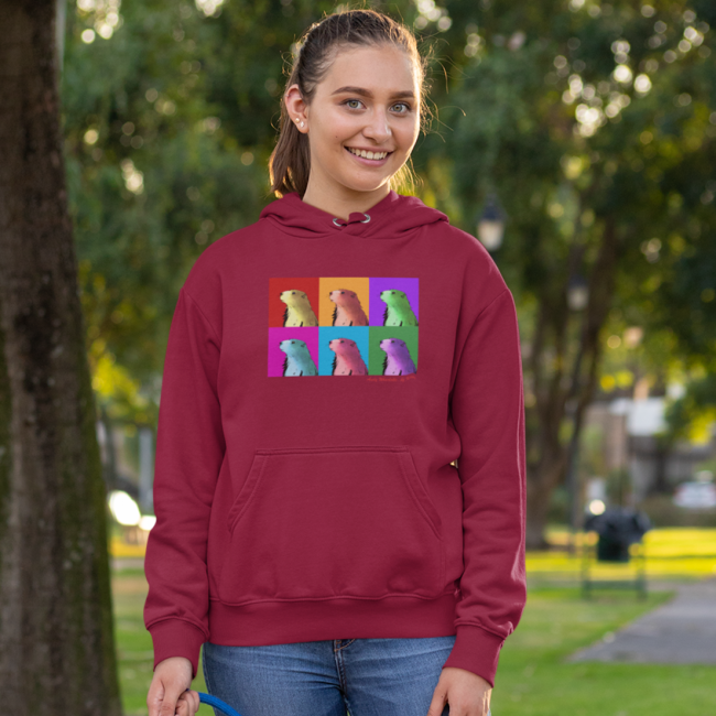 Marmout hoodie bordeaux