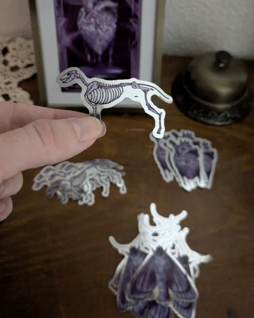 PXL_20251026_221442713~2