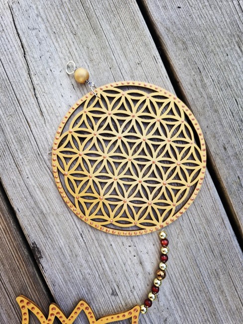 IMG_20251111_131510_667