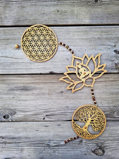 IMG_20251111_131510_636