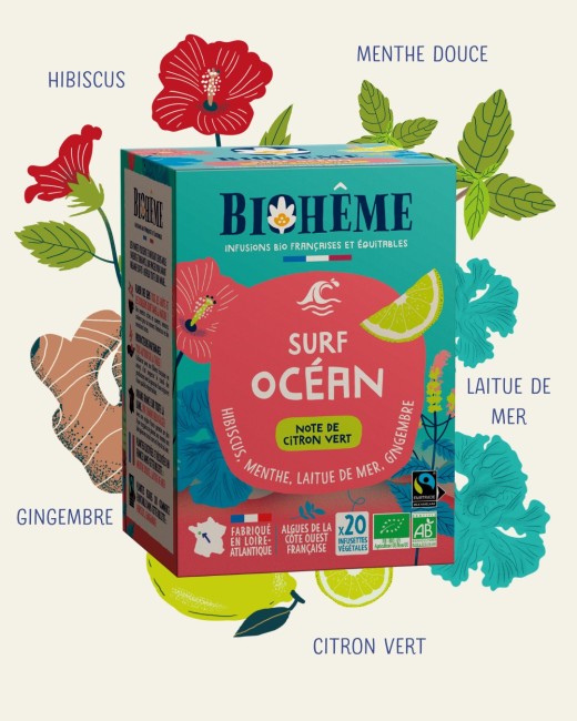Surf océan 3