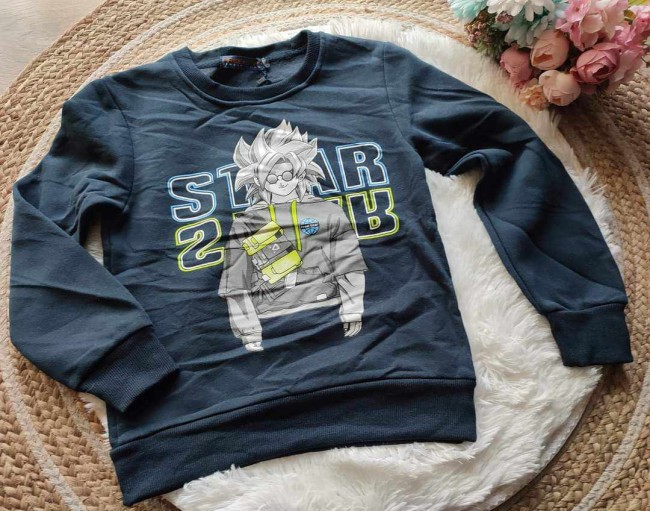 SWEAT DBZ