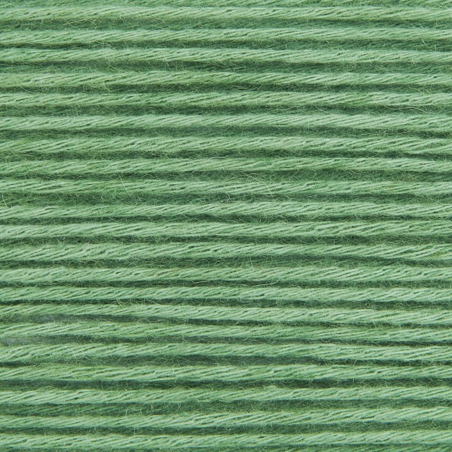 Creative Cotton Fleece dk - 017 lierre 100 GR 250 M | Little Tricot