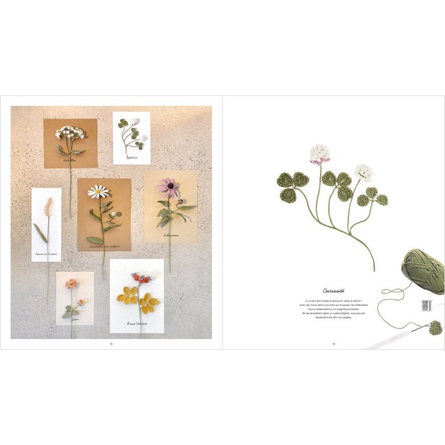 Ricorumi In The Meadow - Rico Design