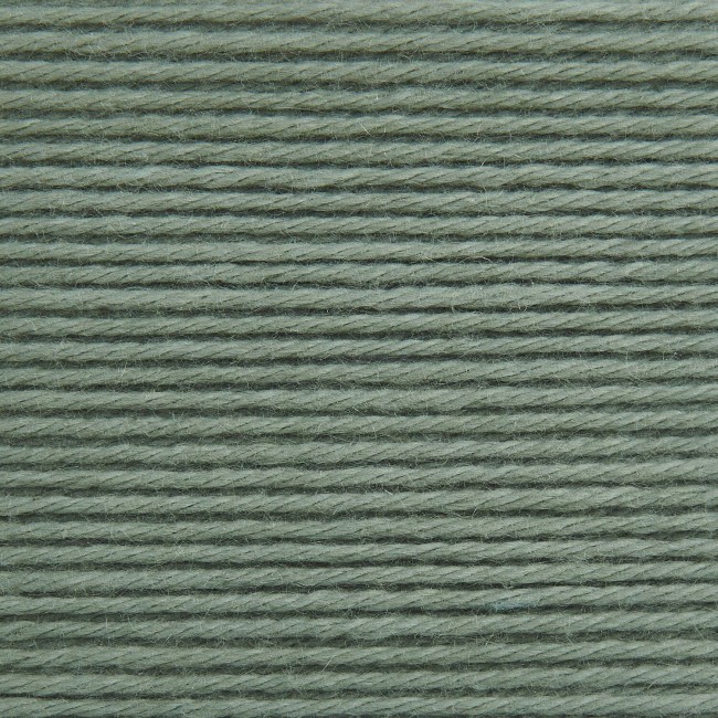 Baby Cozy Organic Cotton Cashmere - 012 Lierre 50 GR 145 M