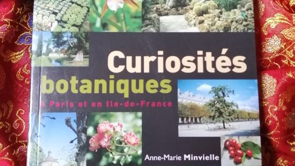 Des parcs ou des jardins, de magnifiques curiosités botaniques à découvrir en Ile de France et à Paris