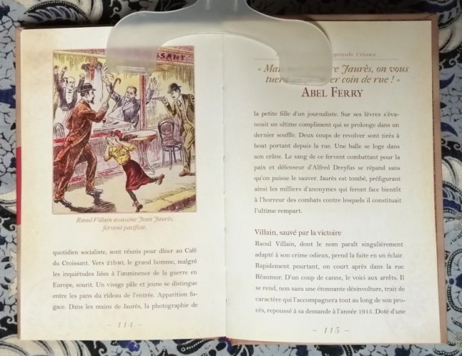 Livre Petits complots et grands crimes de l'Histoire de France de Delphine Dupuis