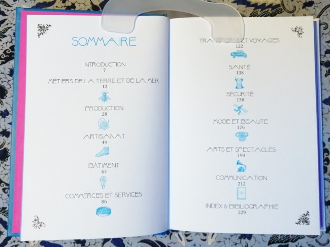 Livre 365 expressions des métiers expliquées de Dominique Foufelle