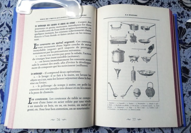 Livre 350 gr de trucs et astuces de ménagère de Sophie Boucher