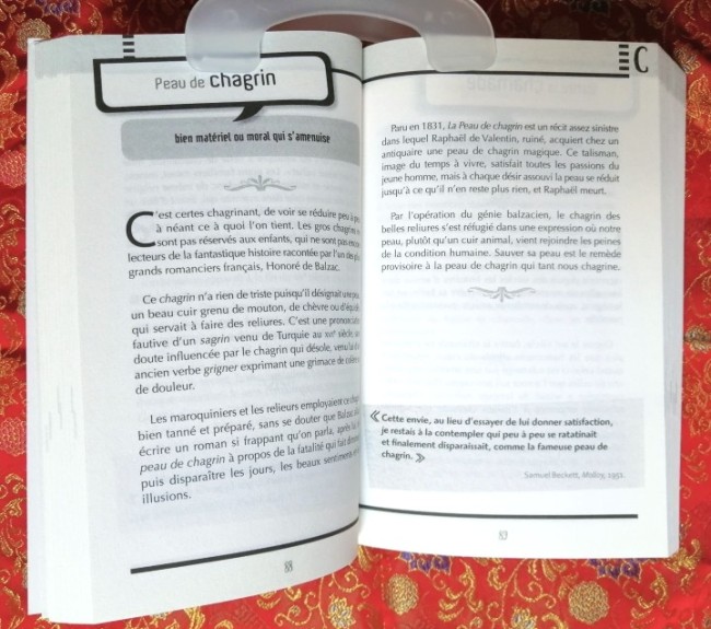 Livre 200 Drôles d'expressions d'Alain Rey et Stéphane De Groodt