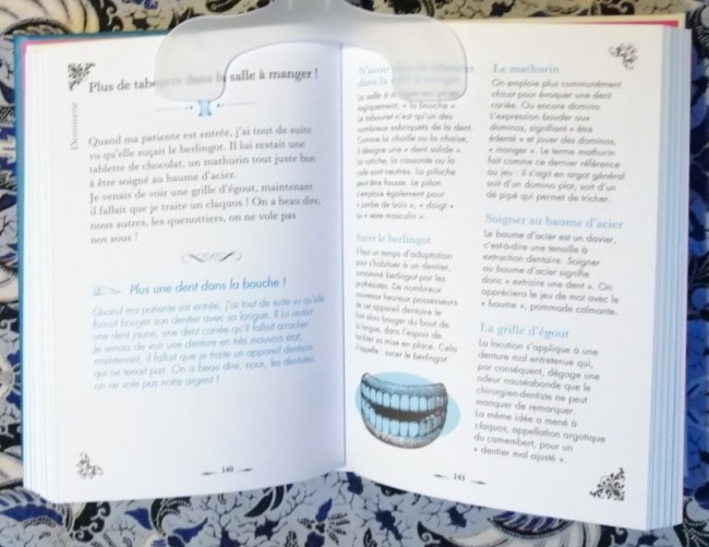 Livre 365 expressions des métiers expliquées de Dominique Foufelle