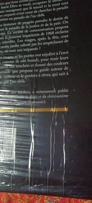 Guide+du+Paradis+religion+armand+colin+9782200249878+livre_3