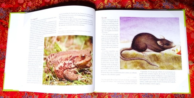 Le+livre+des+porte-bonheur+Le+livre+des+porte-malheur+supperstition+tradition+Images+d+autrefois+9782350771083_7 Le livre des porte-bonheur et des porte-malheur de Brigitte Jobbé-Duval