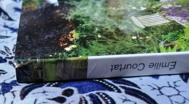 Livre Petits jardins grandes solutions d'Emilie Courtat