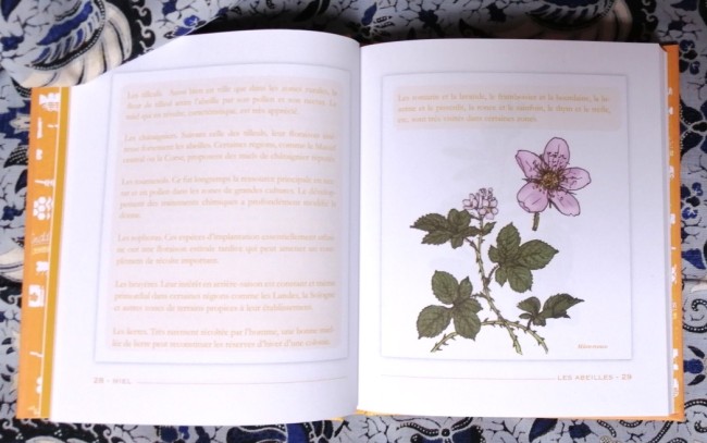 Miel+abeille+ma+grand-mère+faisait+pareil+9782012381704+livre_3 Livre Miel Ma grand-mère faisait pareil de Michel Ricard