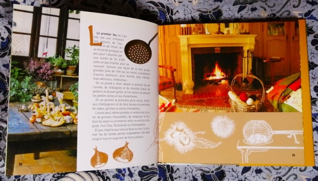 Livre Au coin du feu Grandes joies et petits bonheurs de Marine Guillier