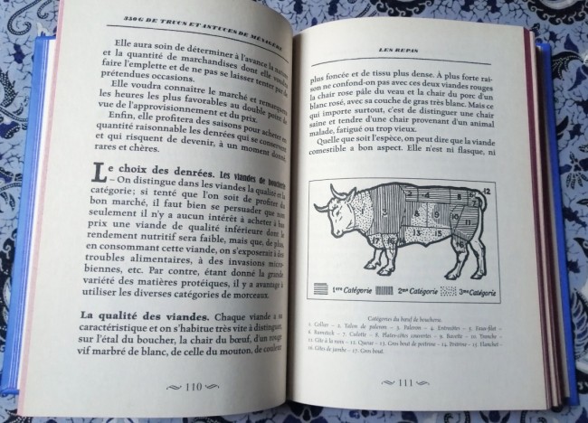 Livre 350 gr de trucs et astuces de ménagère de Sophie Boucher