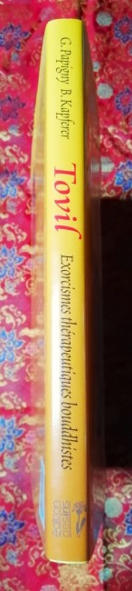 Livre Tovil Exorcismes thérapeutiques bouddhistes de Bruce Kapferer et Georges Papigny