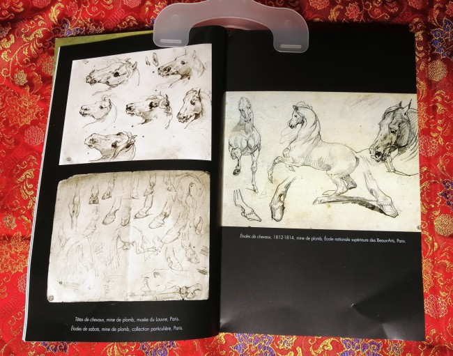 Livre Théodore Géricault Dieux, hommes, chevaux d'Henry Houssaye